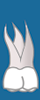 Tooth 3