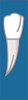 Tooth 29